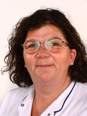Diana van Steenwijk